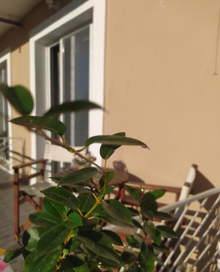 Apartmani Vico Herceg Novi Exterior photo
